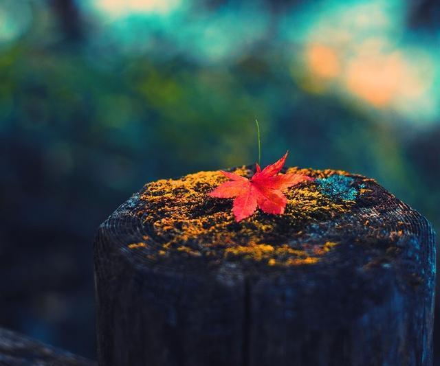 面对自私的人心情是无法控制的,面对自私的人