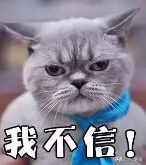 破案了！两亿的“转运玉石”“开光符”到底有没有用？