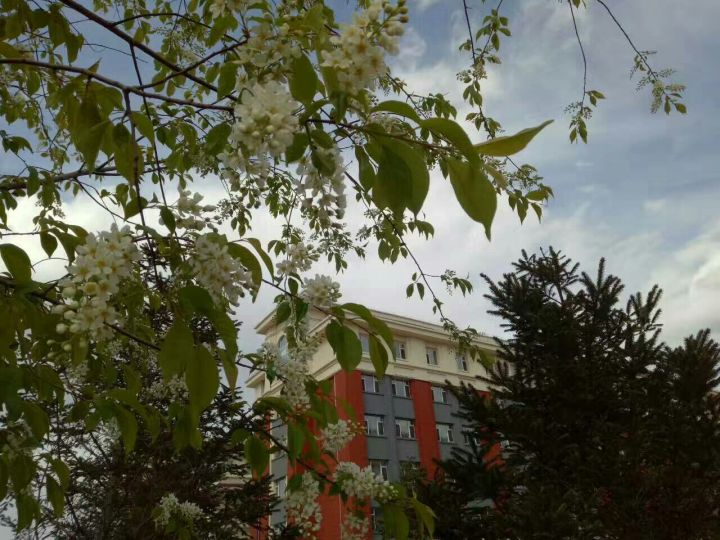 长春工业大学吉林省录取分数线,吉林长春工业大学几本