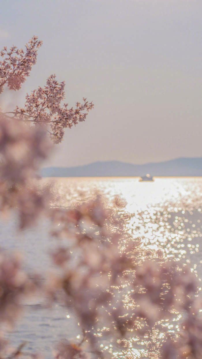 微信高清聊天背景图片欧美,微信高清聊天背景图片男
