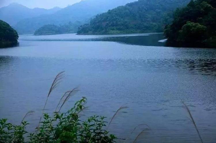 春天重庆区县景点,重庆网红景点区县