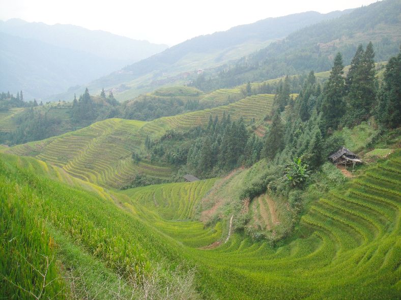 龙脊梯田七星伴月是什么意思,龙脊梯田七星伴月