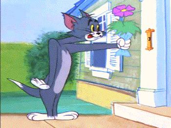 二十年后的汤姆猫,许多年后汤姆猫