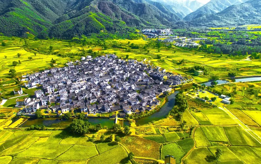 疫情防控取得阶段性胜利有序恢复,疫情胜利在望