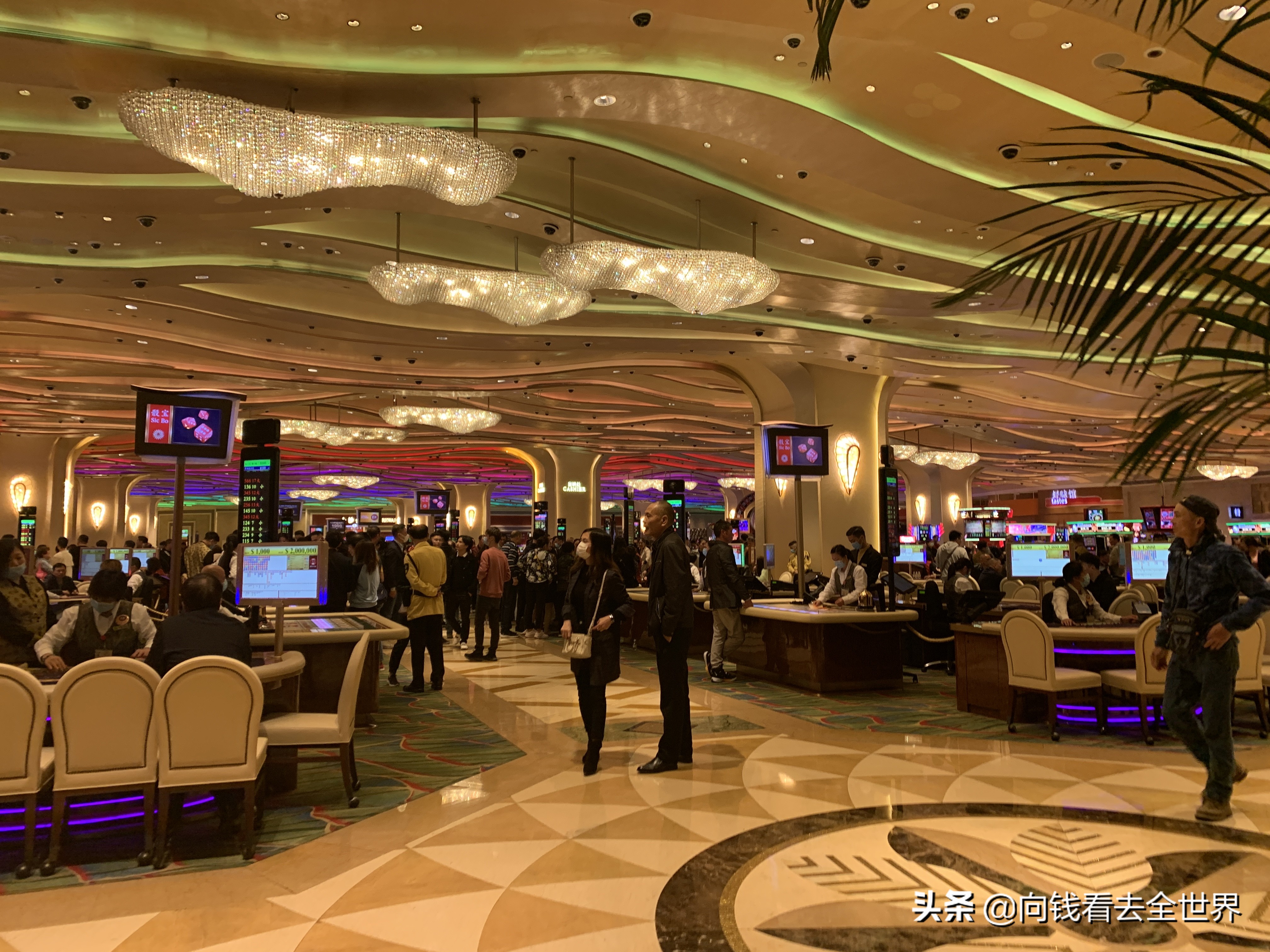 下次假期准备去哪里旅行,澳门四天三晚游