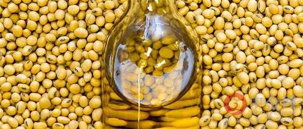 昆虫零食香辣,番茄薯片有哪些