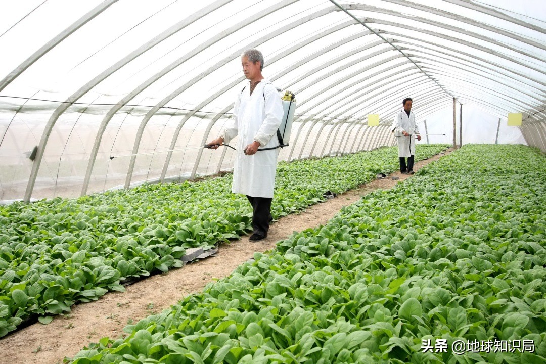 这个中原大省的命运是被什么改变的？地球知识局