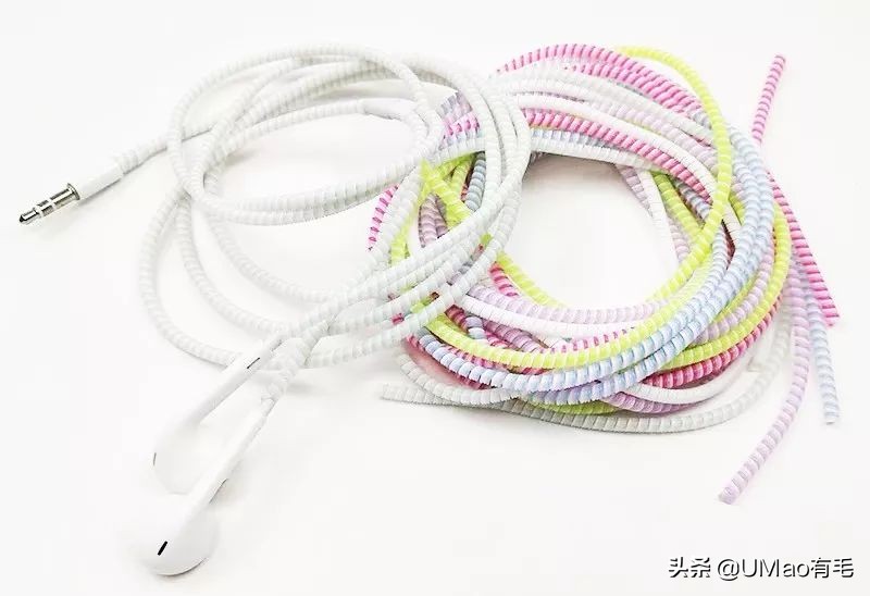 不许猫咪咬东西,不要溺爱猫咪