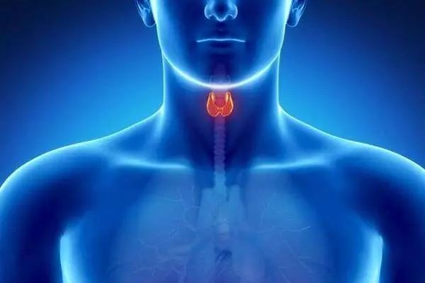 在生活中如何有效预防甲状腺疾病,甲状腺功能减退症的症状表现护理