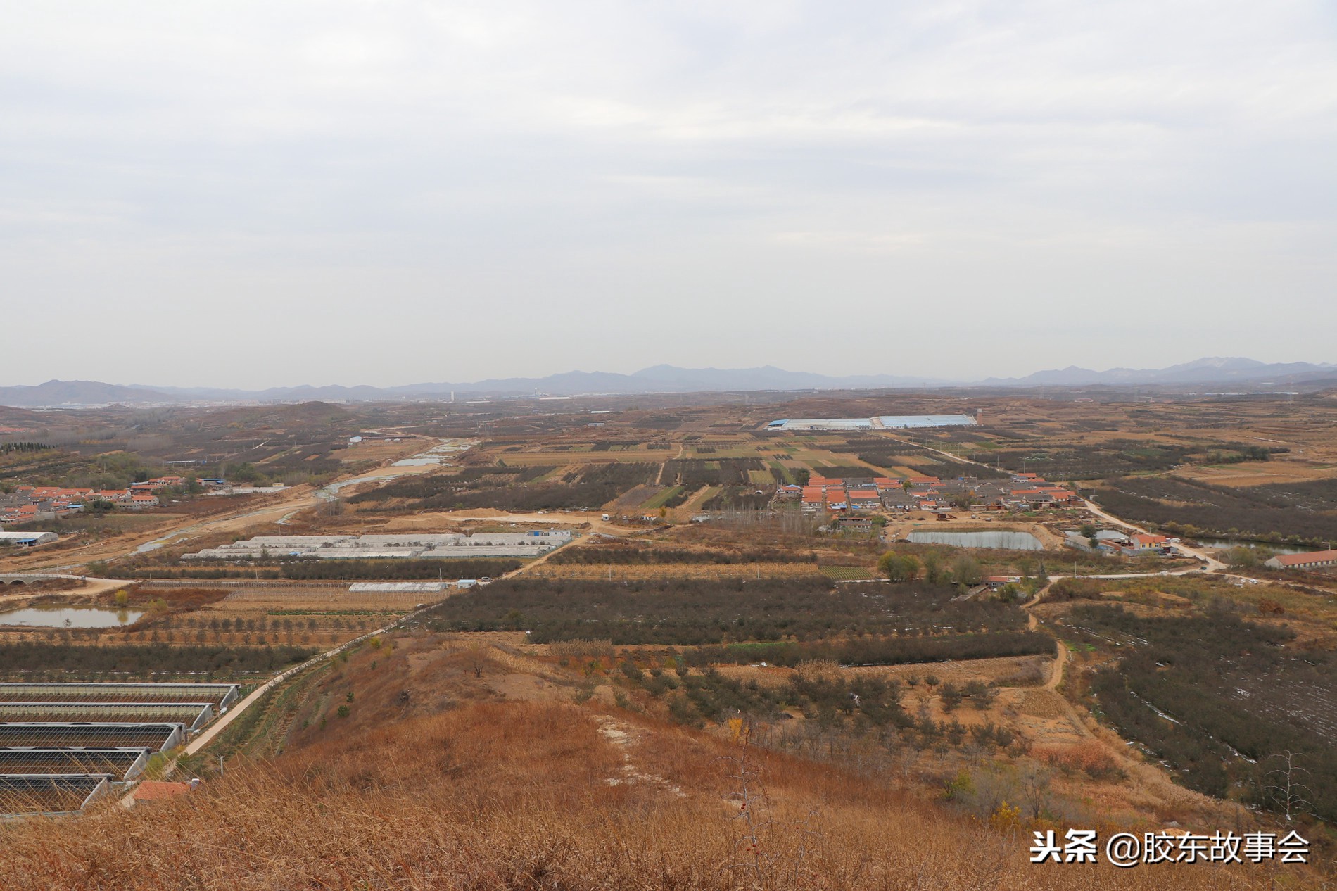 爬海阳的山,海阳哪座山最适合爬山