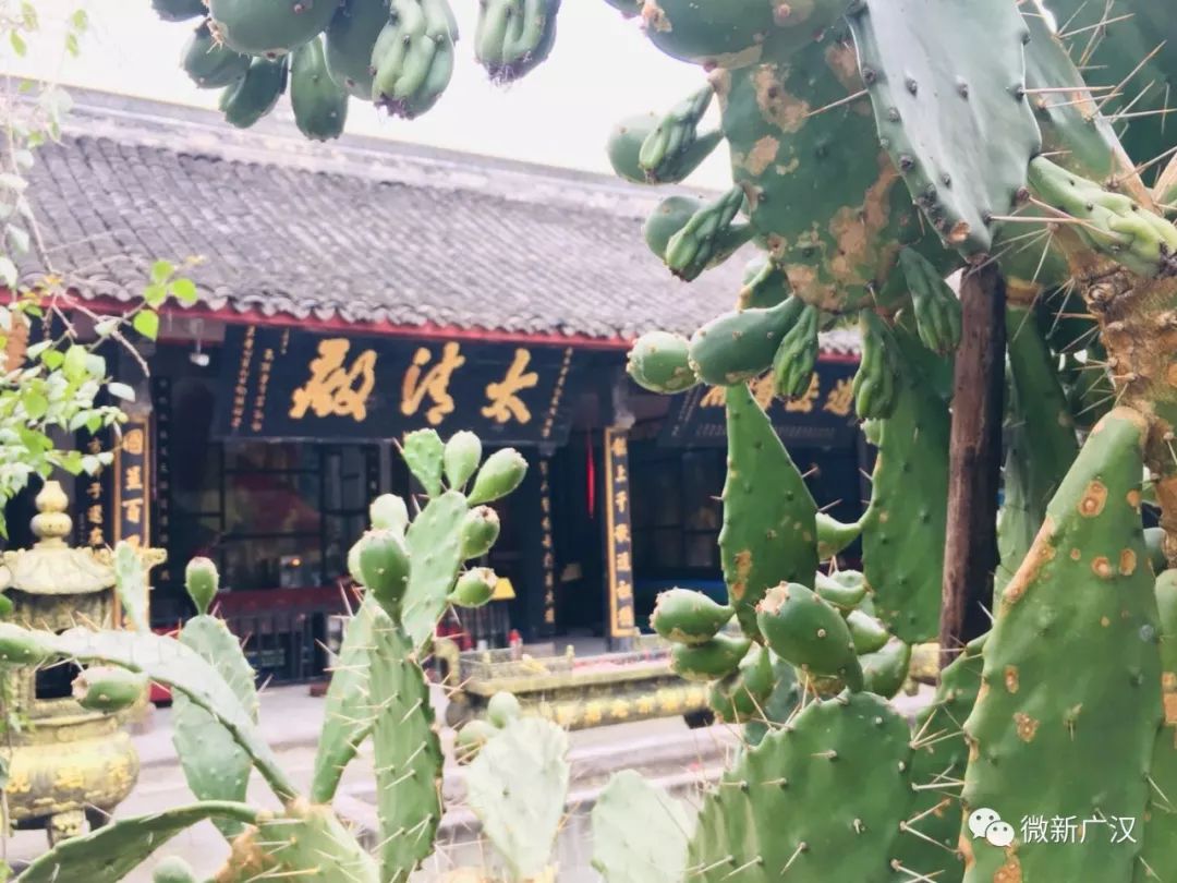 游记|来和兴吧!这里的美景美食每一样都超skr~