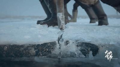 东北跑山是什么样子的,松花江采冰视频