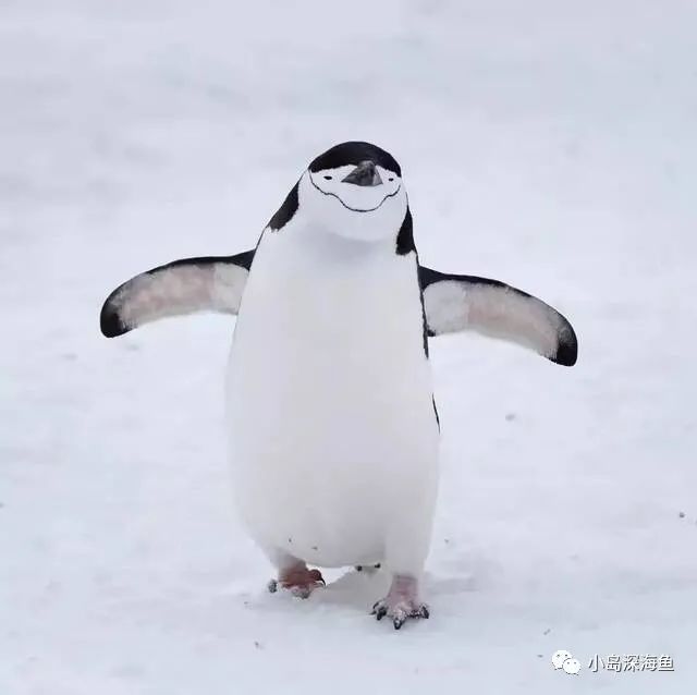 到底存够多少钱就可以退休躺平，在日本年轻人间流行的FIRE