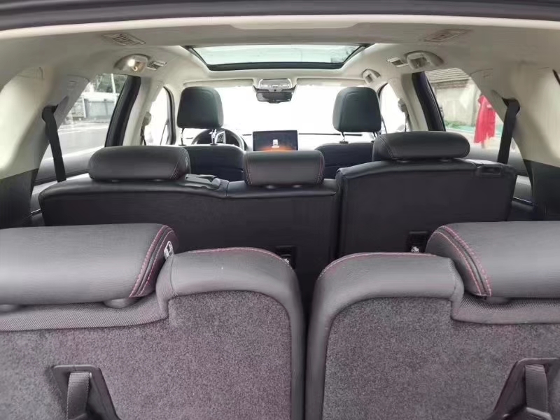 多种新能源,新能源汽车牌照样式