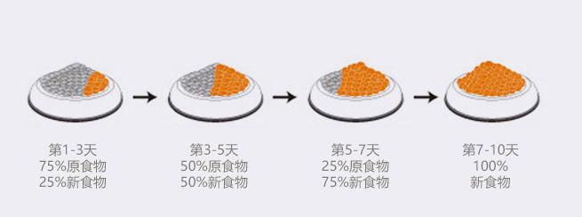 几个月的泰迪幼犬怎么喂养,几个月的幼犬吃什么东西