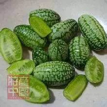 世界稀奇水果品种大全,世界热带奇特水果品种介绍