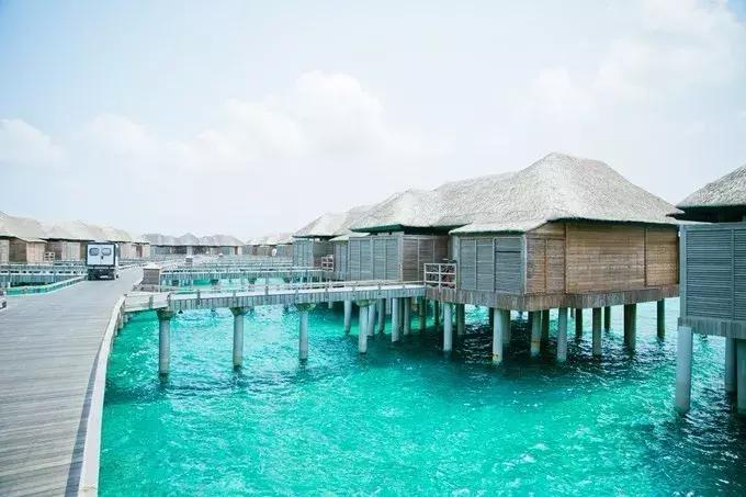 马尔代夫最新选岛攻略,马尔代夫选岛最佳方法