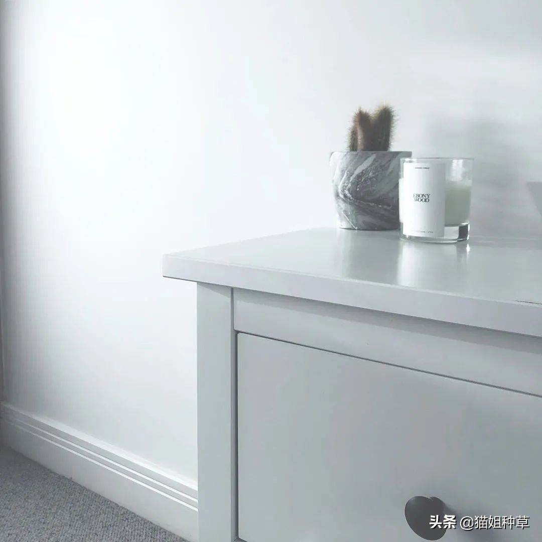 80块就能买到祖玛珑，不会是假的吧？