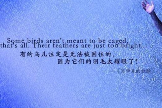 电影肖申克的救赎人物分析完整版,电影肖申克的救赎具体情节介绍