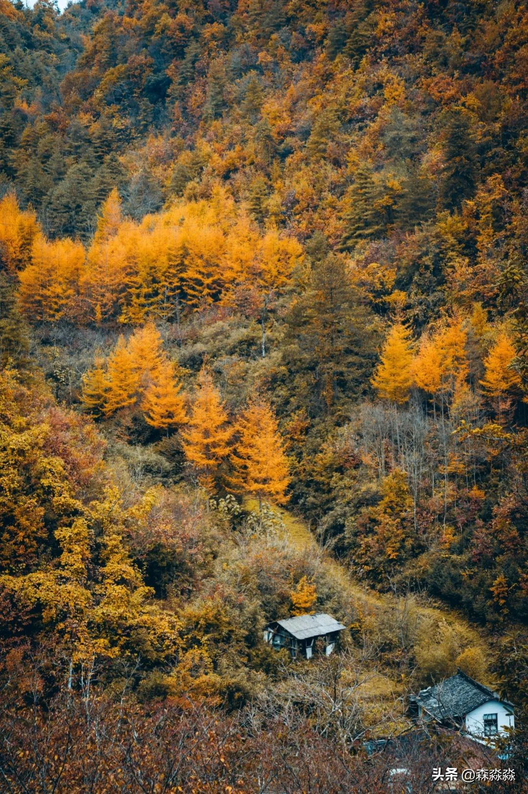 秦岭赏秋怎么玩才好玩呢,大秦岭山旅游攻略