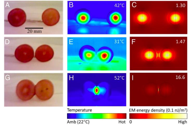 两颗葡萄微波炉加热是真的吗,葡萄为什么会在微波炉中爆炸