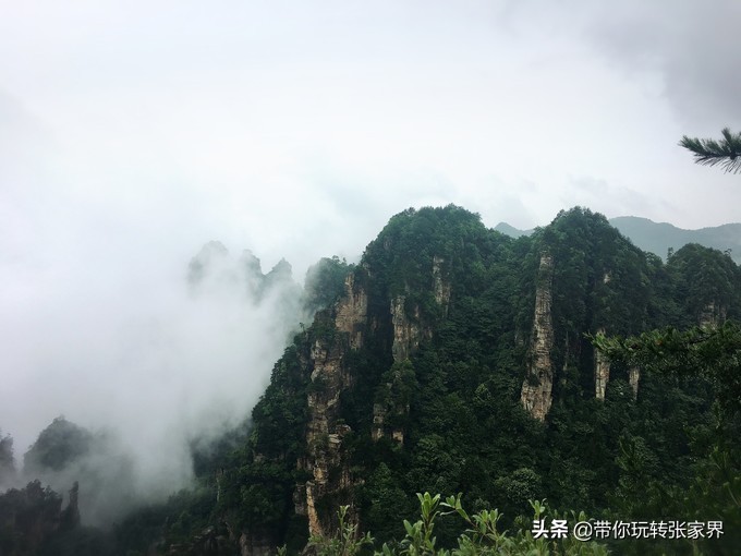 到张家界天门山自助游价格多少钱,武汉到张家界天门山三日游