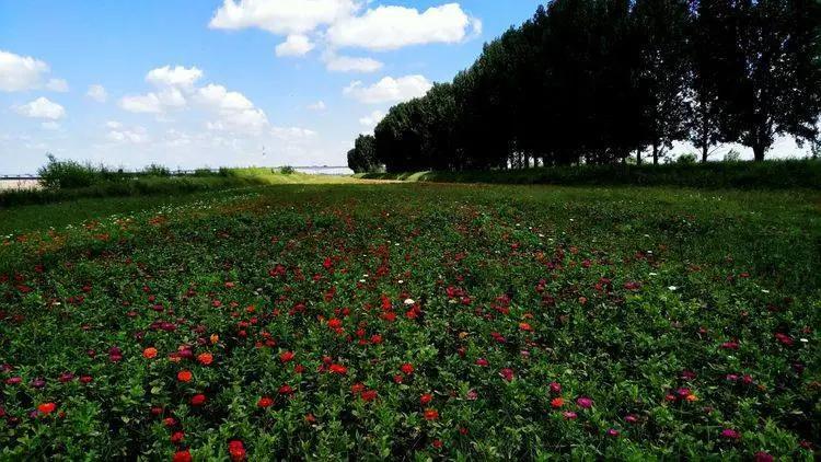 郭立泉诗,郭立泉的作品都有哪些