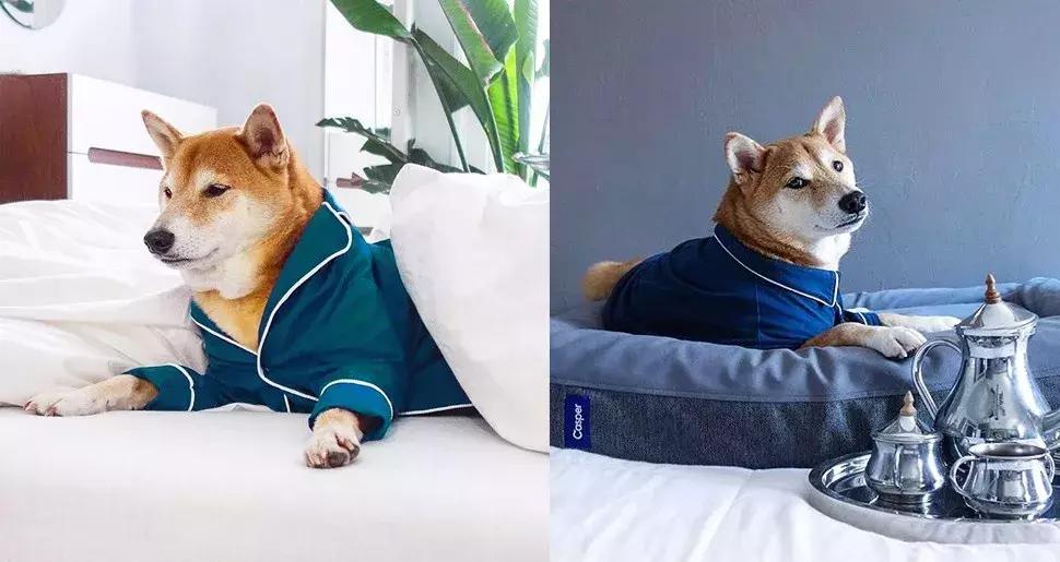 gucci和supreme联名马丁靴,guccisupreme鞋子