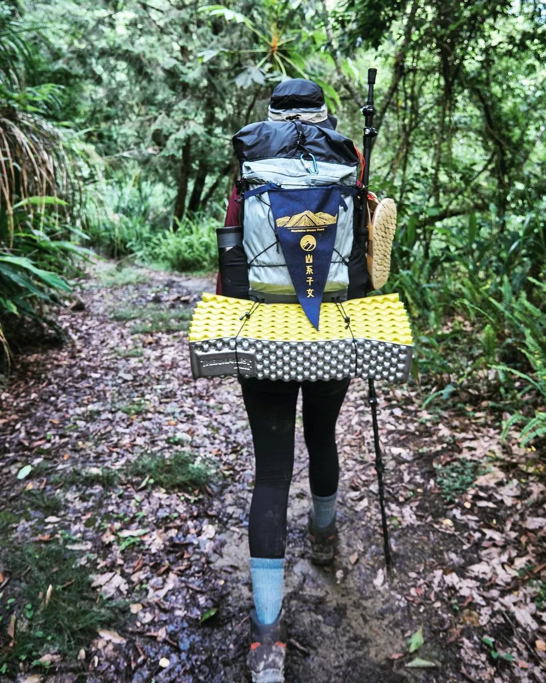 pick好物推荐,pick好物推荐学生党