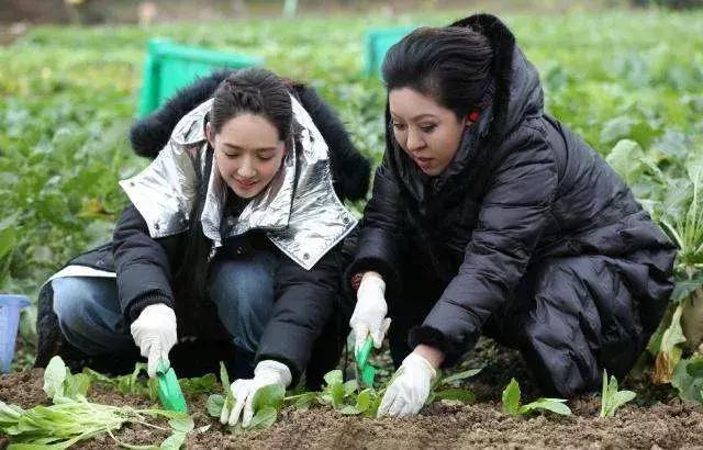 别再吐糟公婆了,他们暖起来也真“吓”人