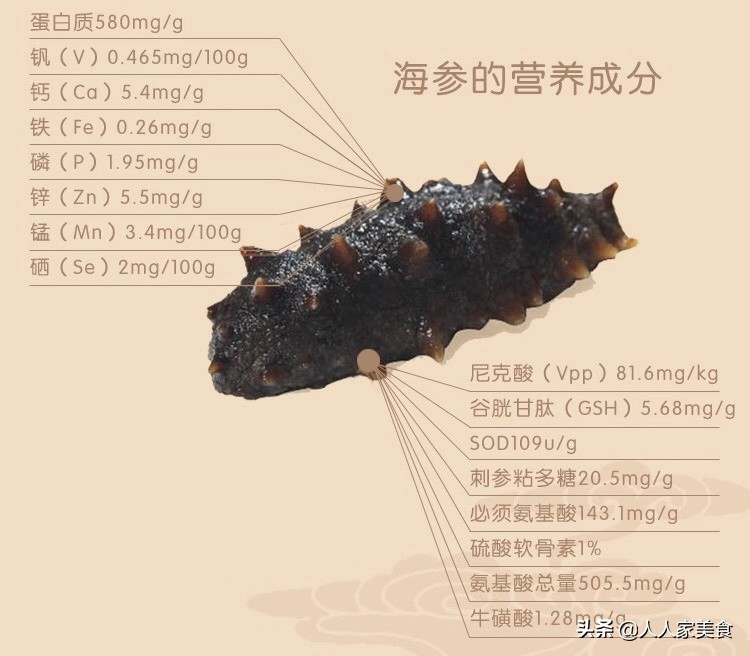 海参行业内幕,新鲜海参内幕深度揭秘
