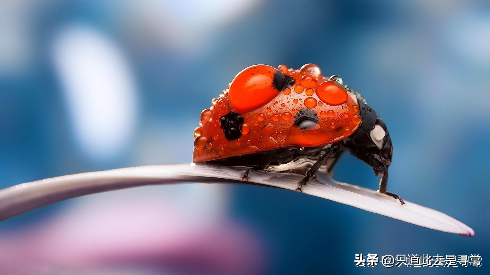 一个处女座是真的会胡思乱想的,处女座感性容易胡思乱想