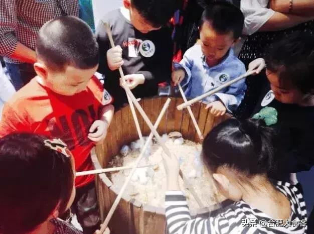 合肥动物园值得看的地方,合肥最好玩的动物园是哪