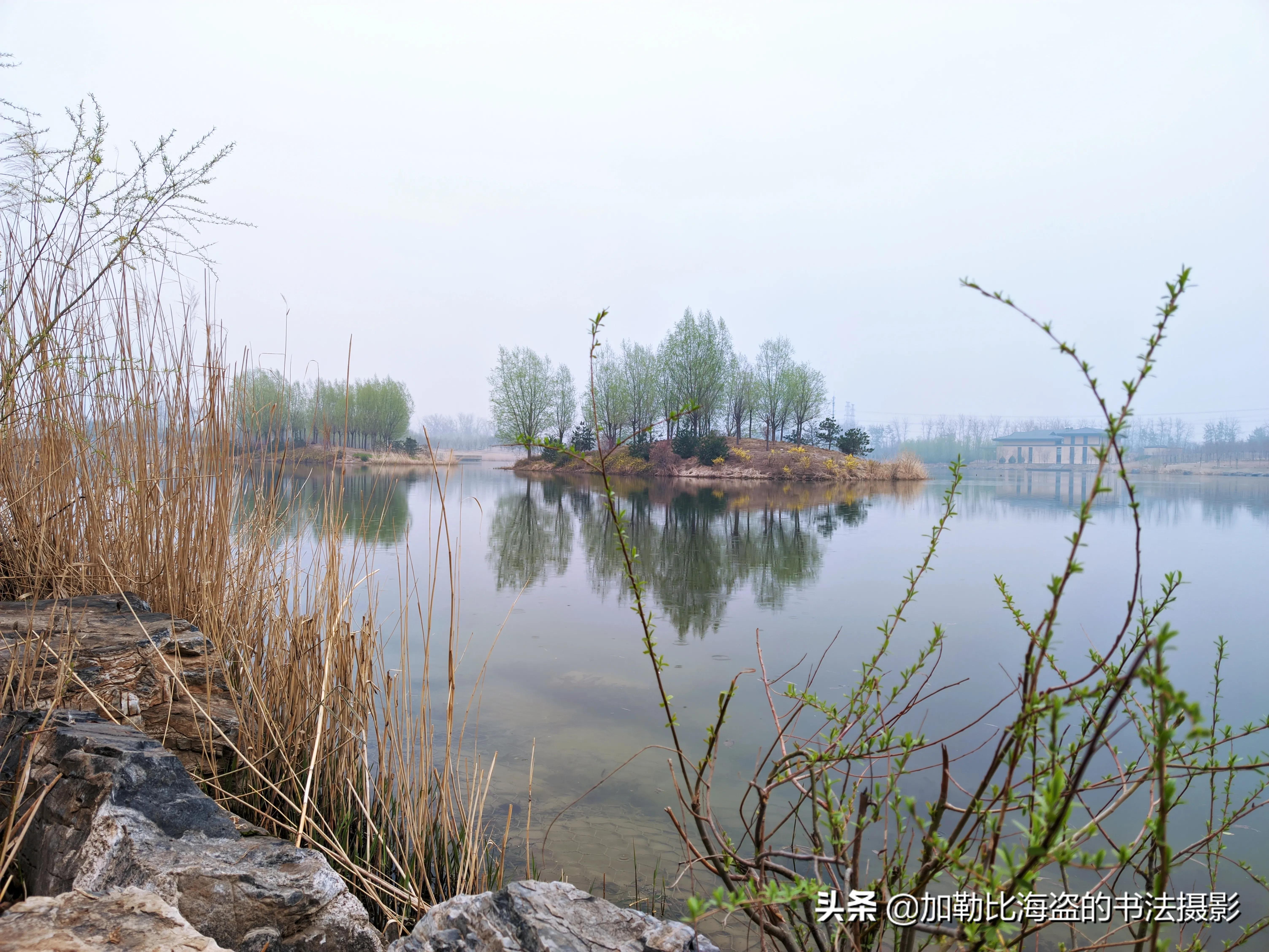 如何在公园里拍出氛围感照片,公园摄影怎么拍出高级感