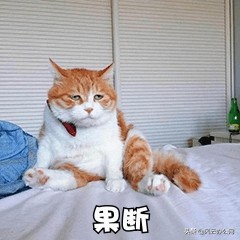 pdf编辑软件可以把pdf变小,pdf文件怎么编辑文字免费在线