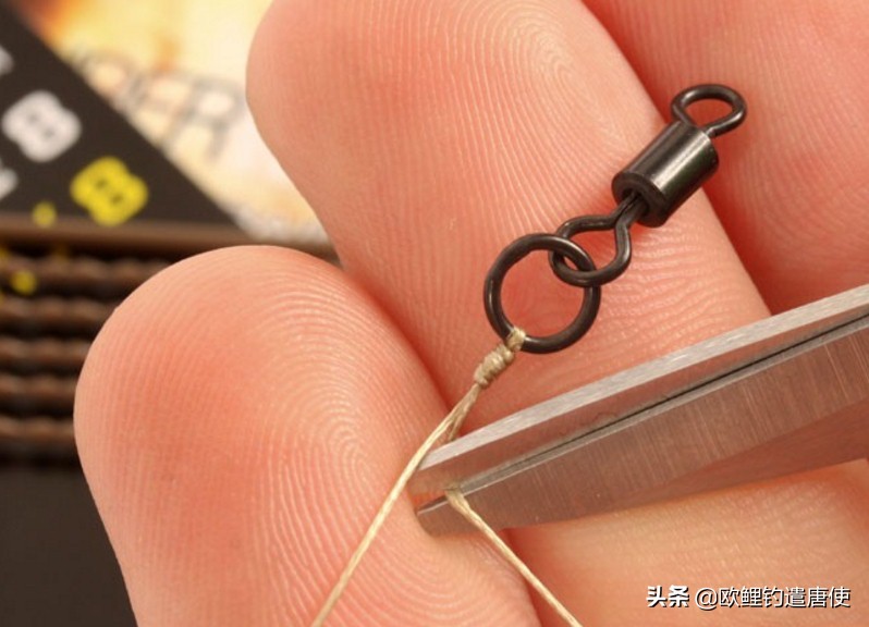 钓鱼也是一种技术,科学钓鱼的基本原理