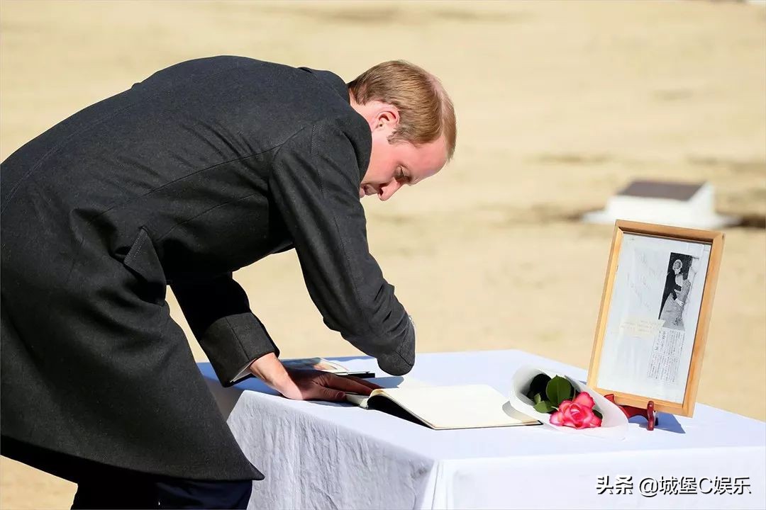 戴安娜和雅子第一次见面,雅子妃和戴安娜1995见面