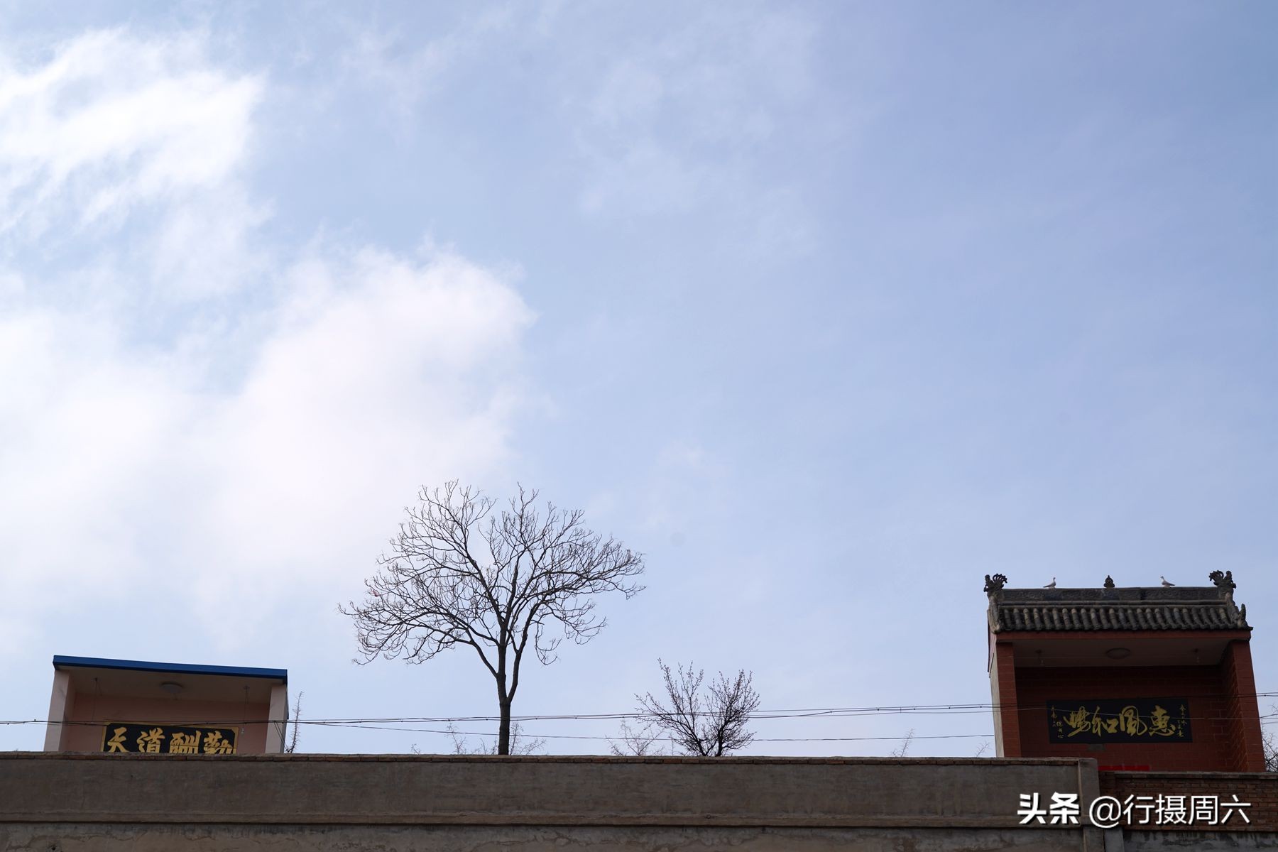 农村8旬大爷养猪,80岁大爷养600斤大野猪当坐骑