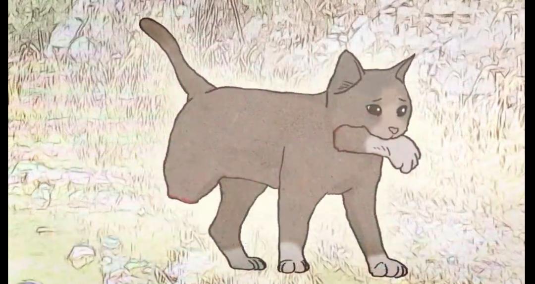 猫咪被老鼠夹住脚后肿了,猫咪被老鼠夹住前爪怎么办