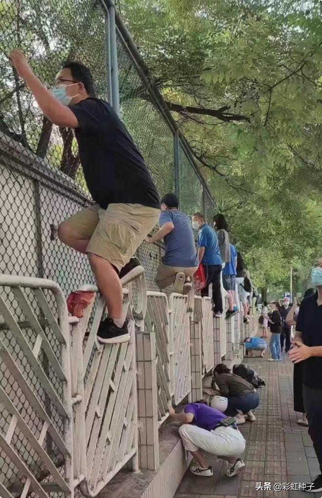 招商品质成长混合,招商优质成长近三年走势