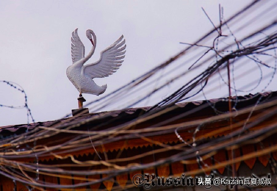 俄罗斯白天鹅监狱有多可怕,俄罗斯黑海豚监狱关押恐怖分子