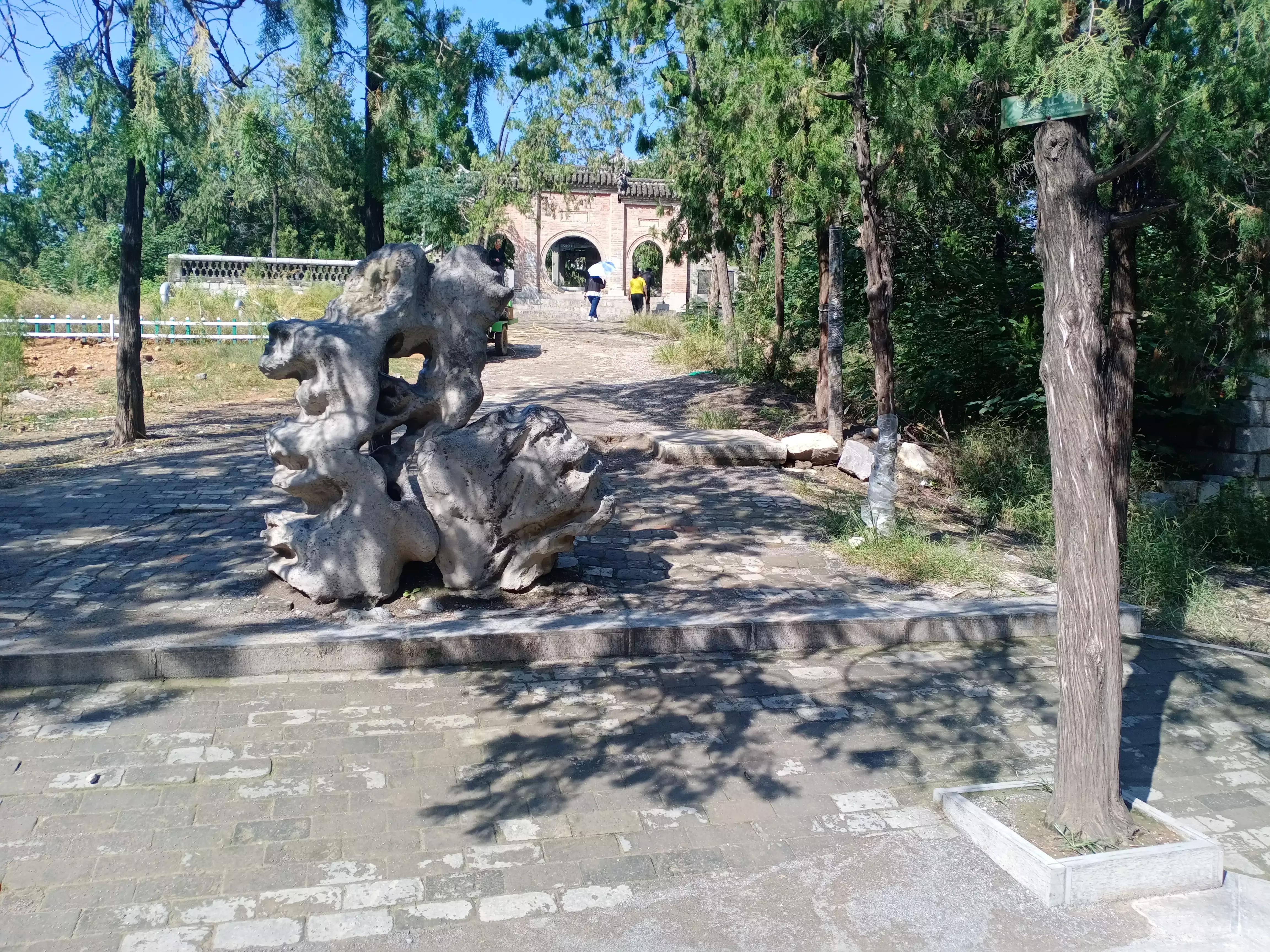 寻母路弯弯,小说连载二借腹生子