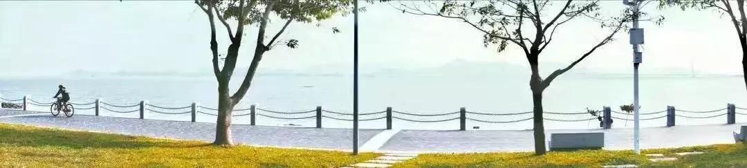 深圳湾公园这里有什么好吃的,深圳湾在哪里