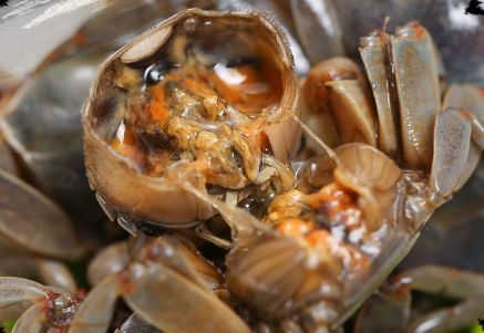 吃螃蟹吃多了会拉稀吗,又到吃螃蟹的季节