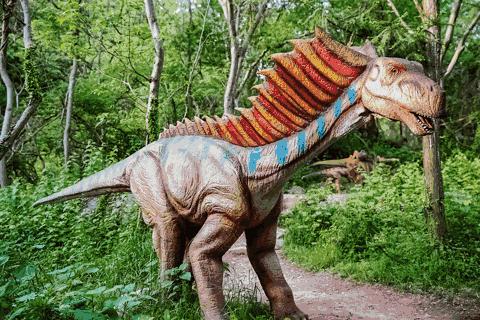 东南花都花博园景观,东南花都花博园