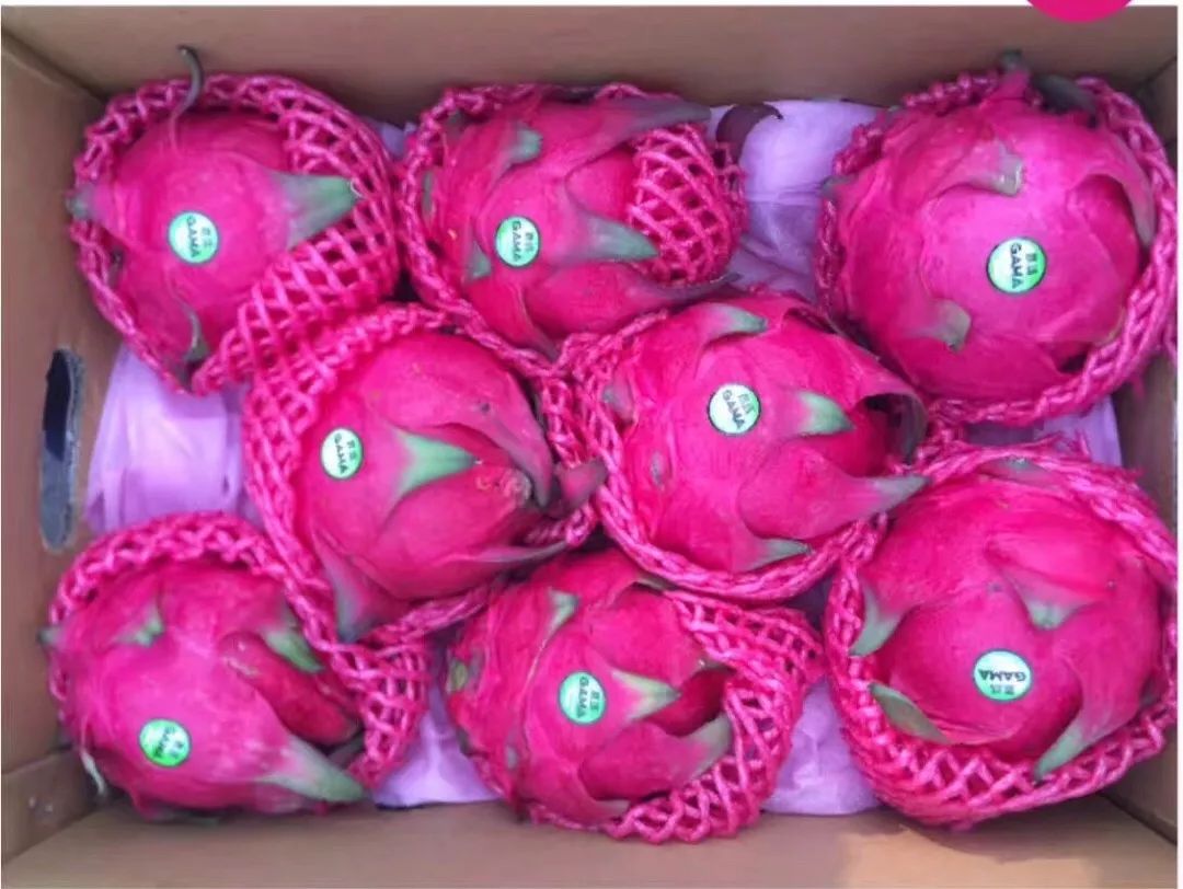 生鲜果蔬配送商城长春,全球顶级水果生鲜配送