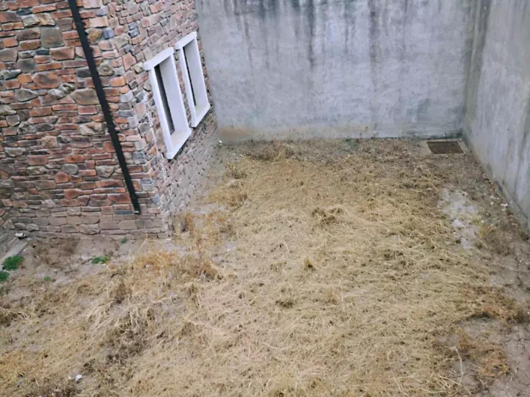 武清沉寂了6年的纯别墅社区，最近你被他.....