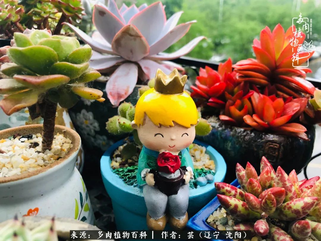 万物皆有灵性有因必有果,万物皆有灵性与生命