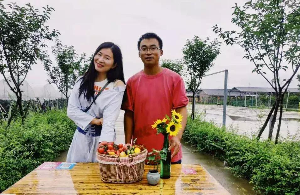 被“致富经”忽悠养殖野鸡，没想到失败以后反而成了番茄大王