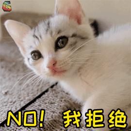 猫乱吃的食物太多样化,猫乱吃东西会吐吗